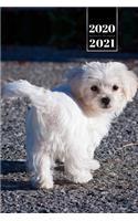Maltese Dog Calendar Week Planner 2020 / 2021 - Cute Tail: Pup Puppy Doggie Pet Owner Weekly Bullet Journal Notebook Diary in 6" x 9" Inch Pocket Size