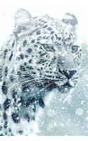 Leopard Notebook