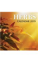 Herbs Calendar 2019: 16 Month Calendar