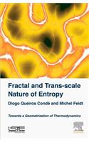 Fractal and Trans-Scale Nature of Entropy