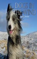Dogs in the Wind: 2020 Square Wall Calendar