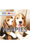 Puppies