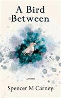 Bird Between