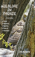 Wildlife In Parker
