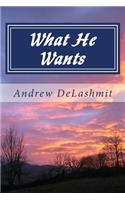 What He Wants: A Chat with Grandpa about Numbers & Deuteronomy(4 A Chat with Grandpa)