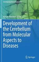 Development of the Cerebellum from Molecular Aspects to Diseases: (Contemporary Clinical Neuroscience)