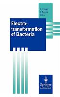 Electrotransformation of Bacteria