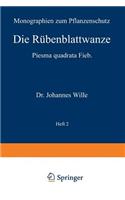 Die Rübenblattwanze