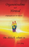 Organentnahme nach Hirntod