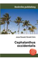 Cephalanthus Occidentalis