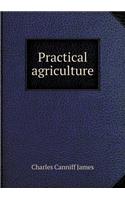 Practical Agriculture: (English)
