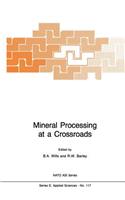 Mineral Processing at a Crossroads