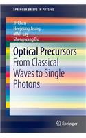 Optical Precursors