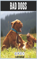 Bad Dogs 2021 calendar