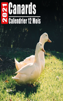 Calendrier 2021 Canards