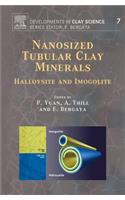 Nanosized Tubular Clay Minerals