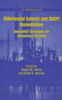 Chlorinated Solvent and Dnapl Remediation