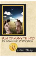 Sum of Many Things