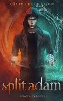 Split Adam