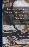 Thoughts On a Pebble, Or, a First Lesson in Geology
