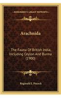 Arachnida