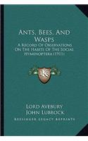 Ants, Bees, And Wasps