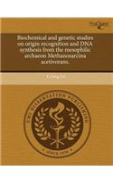 Biochemical and Genetic Studies on Origin Recognition and DNA Synthesis from the Mesophilic Archaeon Methanosarcina Acetivorans