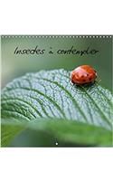 Insectes a Contempler 2017: Images D'insectes Butinants(Calvendo Animaux)