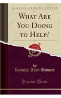 What Are You Doing to Help? (Classic Reprint): (English)