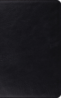 ESV Heirloom Thinline Reference Bible (Goatskin, Black)