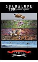 Guadalupe 100 Grandes Especies