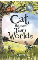 Cat Between Two Worlds