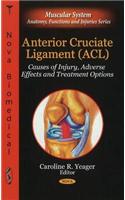 Anterior Cruciate Ligament (ACL)