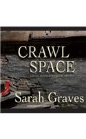 Crawlspace: A Home Repair Is Homicide Mystery