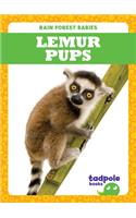 Lemur Pups
