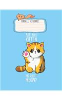 Cornell Notebook: Are You Kitten Me Right Meow Kitten Kitty Funny Cat Lovers Pretty Cornell Notes Notebook for Work Marble Size College Rule Lined for Student Journal