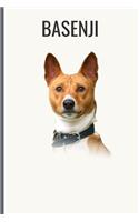 Basenji