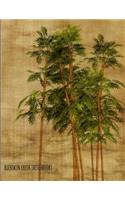Sketchbook: Bamboo: 8.5 X 11 Inches - 200 Blank Pages with Borders