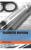 Uncovered Marshes