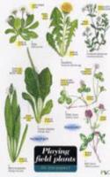Playing Field Plants