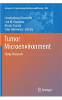 Tumor Microenvironment