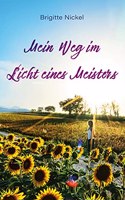 Mein Weg im Licht eines Meisters