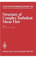 Structure of Complex Turbulent Shear Flow