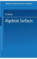 Algebraic Surfaces