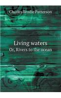 Living Waters Or, Rivers to the Ocean