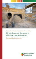 Cinza de casca de arroz e sílica de casca de arroz