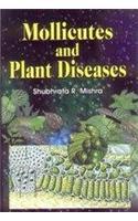 Mollicutes and Plant Diseases