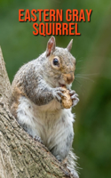Eastern Gray Squirrel