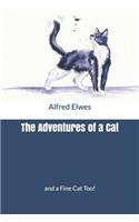 The Adventures of a Cat: and a Fine Cat Too!