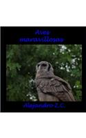 Aves Maravillosas